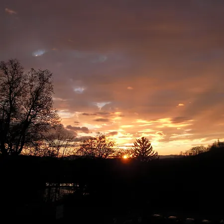 Schloss Seggau ליבניץ