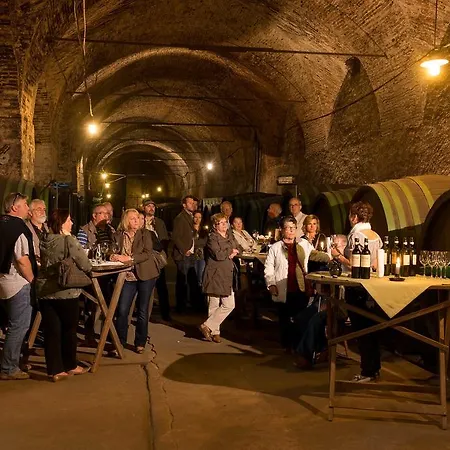 Schloss Seggau מלון ליבניץ