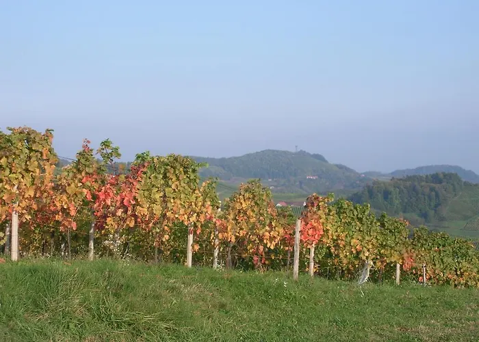 Schloss Seggau 4* Leibnitz